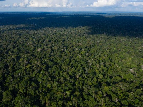 Facebook запретит продажу земли тропических лесов Амазонки на Marketplace